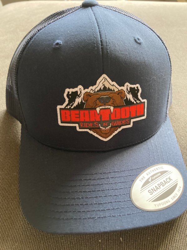 Navy Mesh Trucker Hat