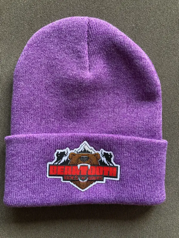 Heather Purple Beanie